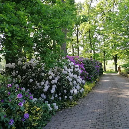 Beekenhof Apartment Bommelsen