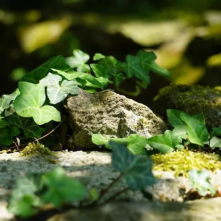 アパート Beekenhof